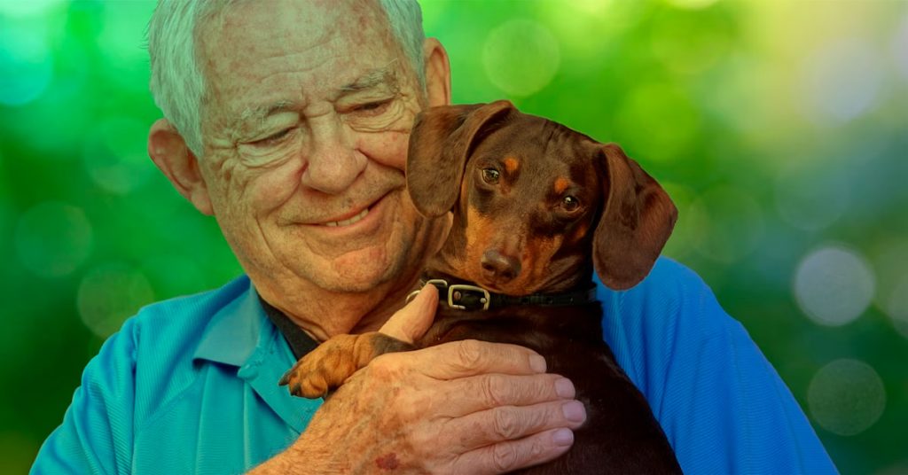 Animais de Estimação e Idosos